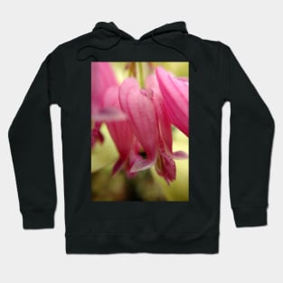 Bleeding Heart Hoodie